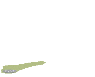 heli